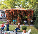 Queen Street Arbor with Flowers